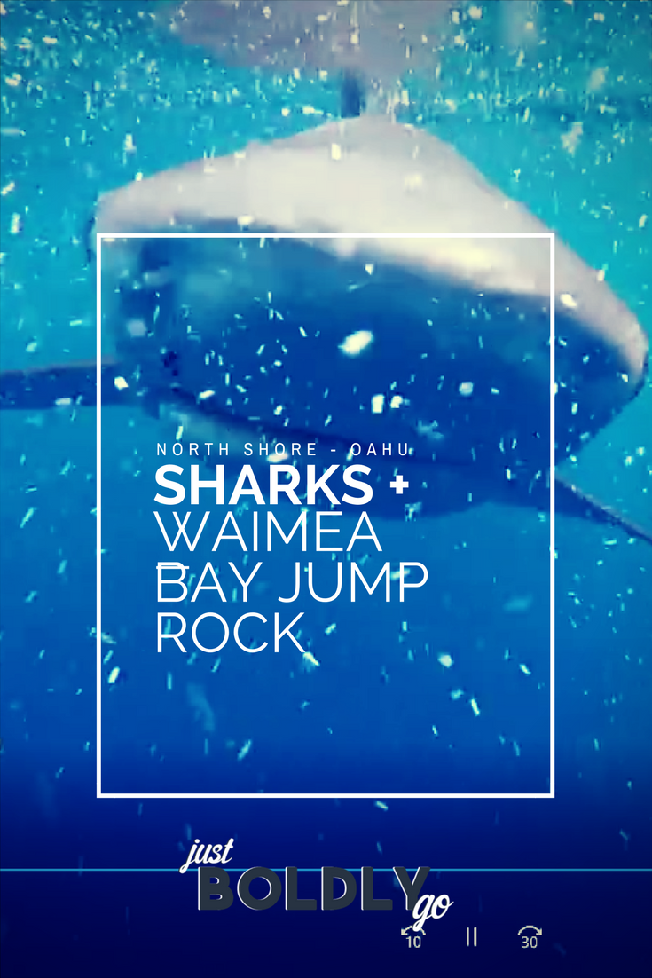 Shark Cage + Waimea Bay Jumping Rock