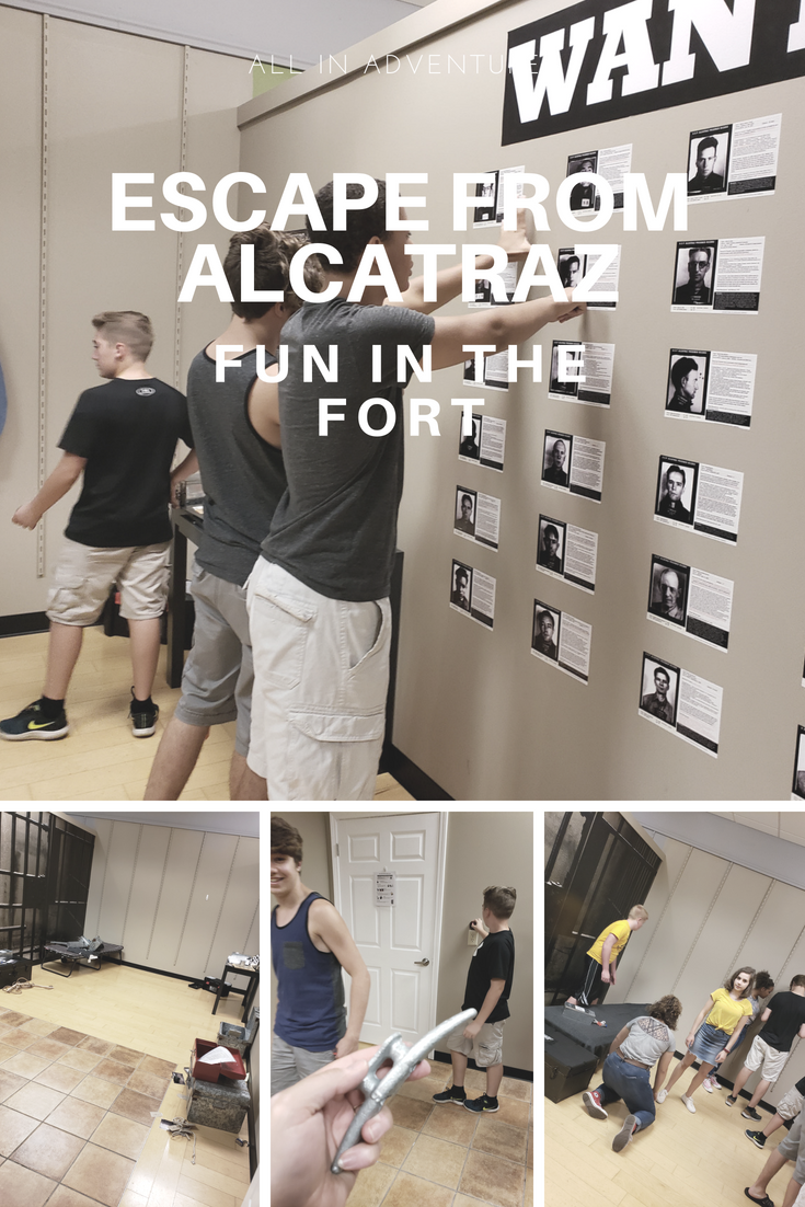 Fun in the Fort: All In Adventures